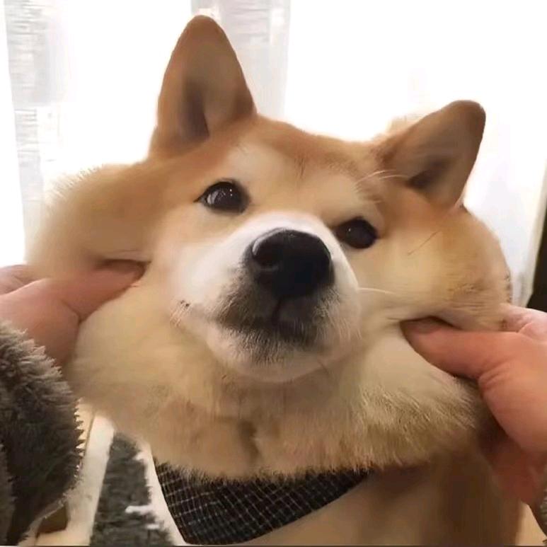 ₍៸៸᳐ ⁃ 𖥦 ⁃ ៸៸᳐ ₎ฅ