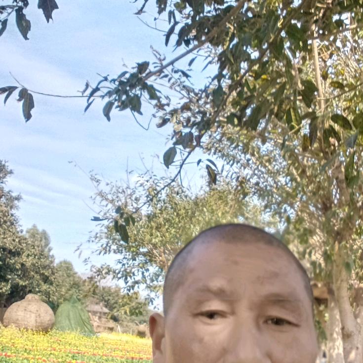 开心炔乐杨才文