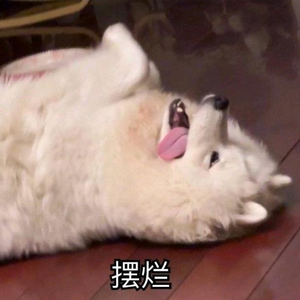 雪泥鸿爪头像