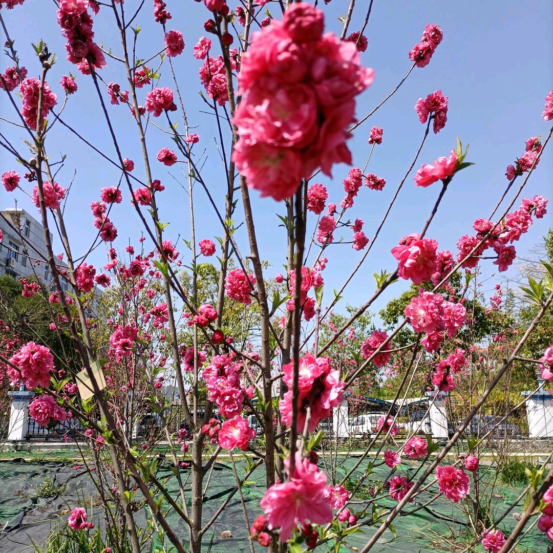 珍惜