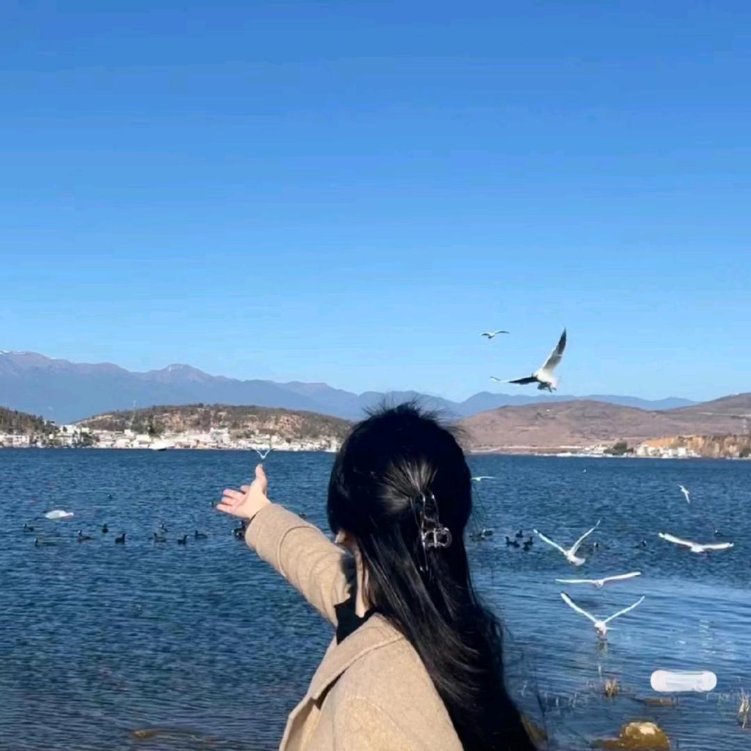香草好物