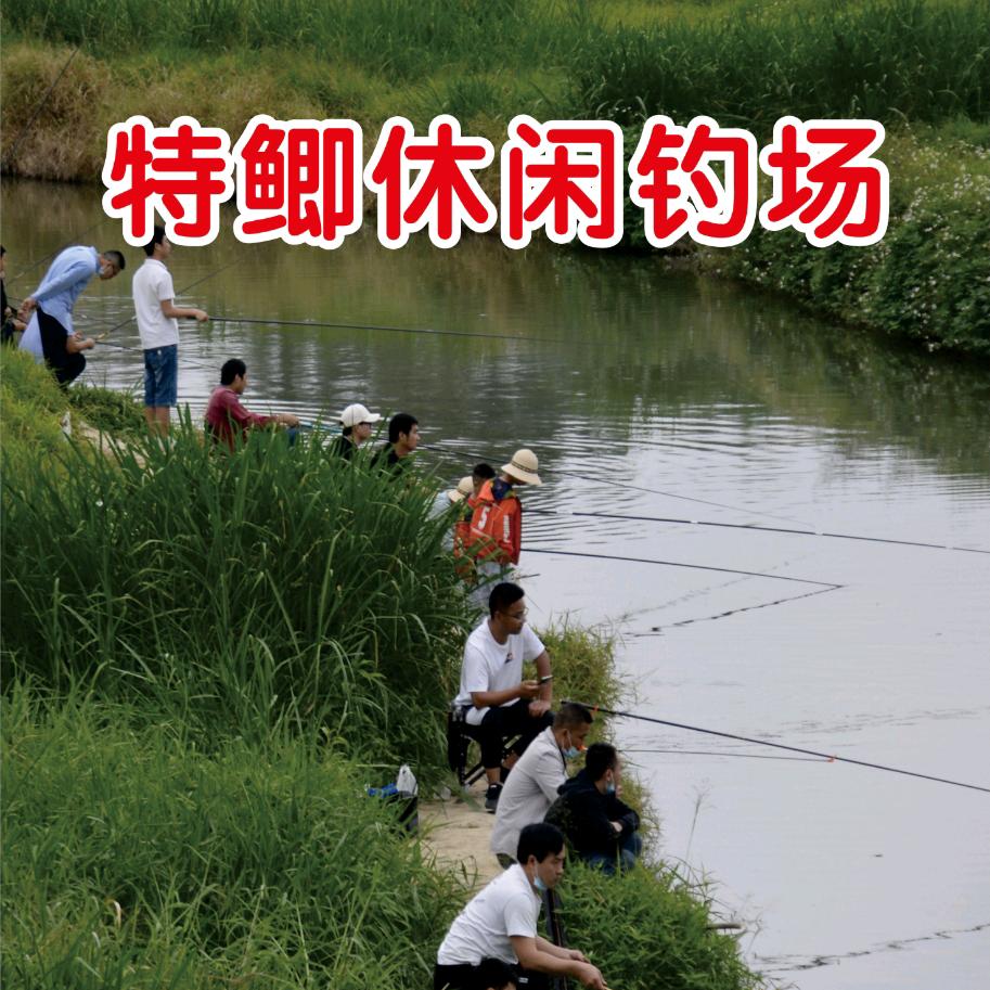 特鲫休闲钓场  (斌哥)