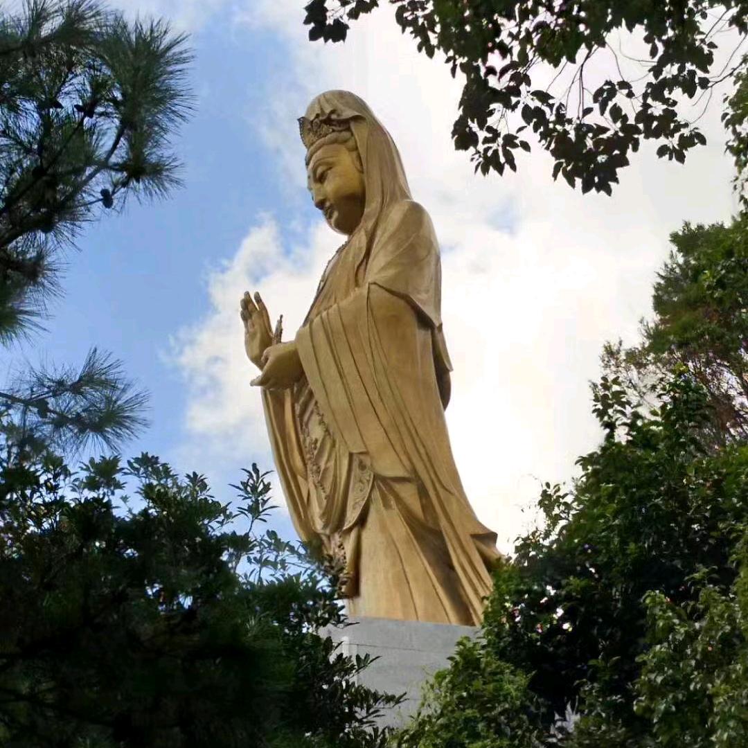 临沂北环团购总团长