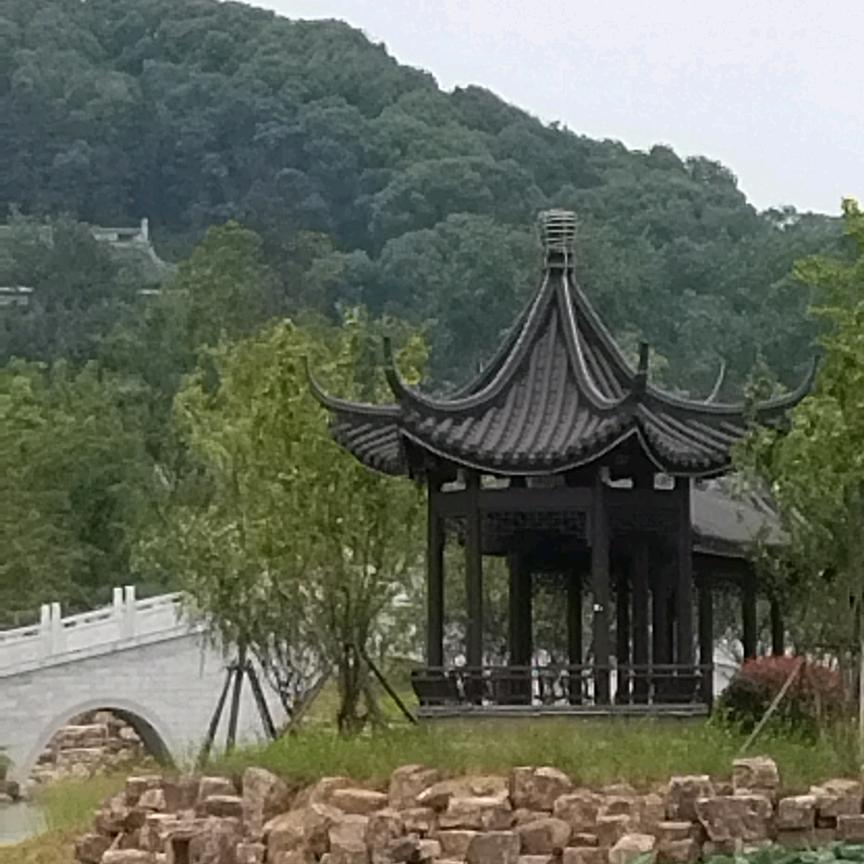 老骥_wxp