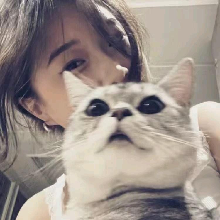 uw头像