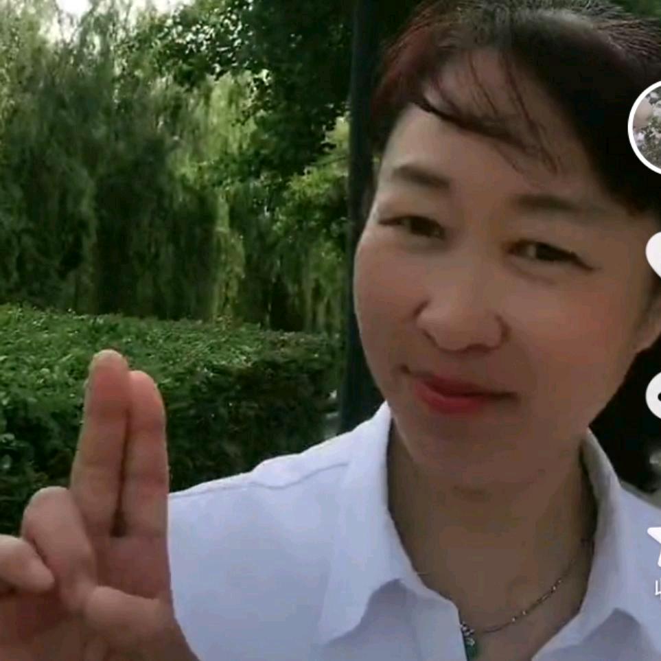 玫瑰绽放了