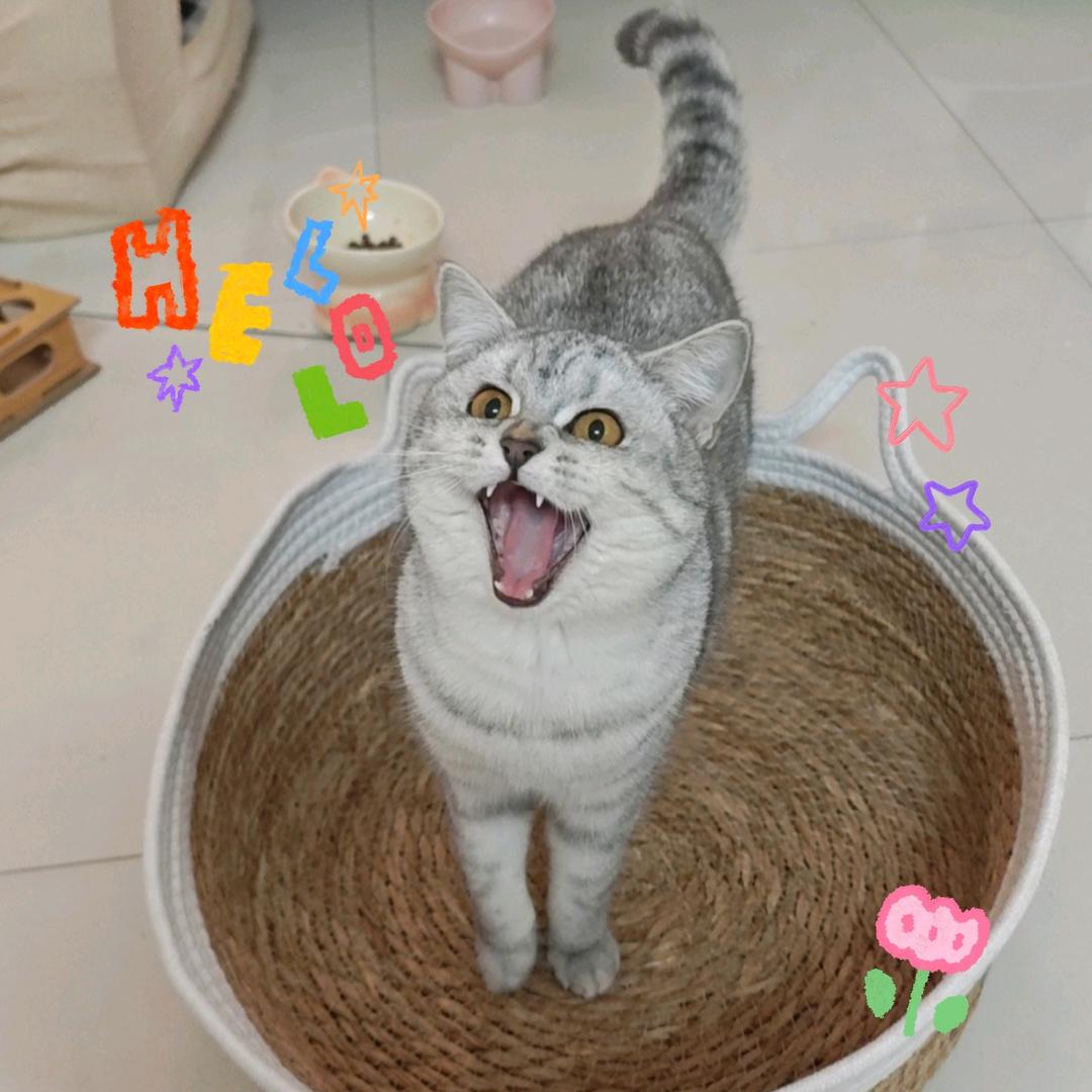 爱分享的小刘呀