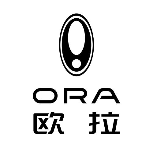 欧拉汽车永康远想