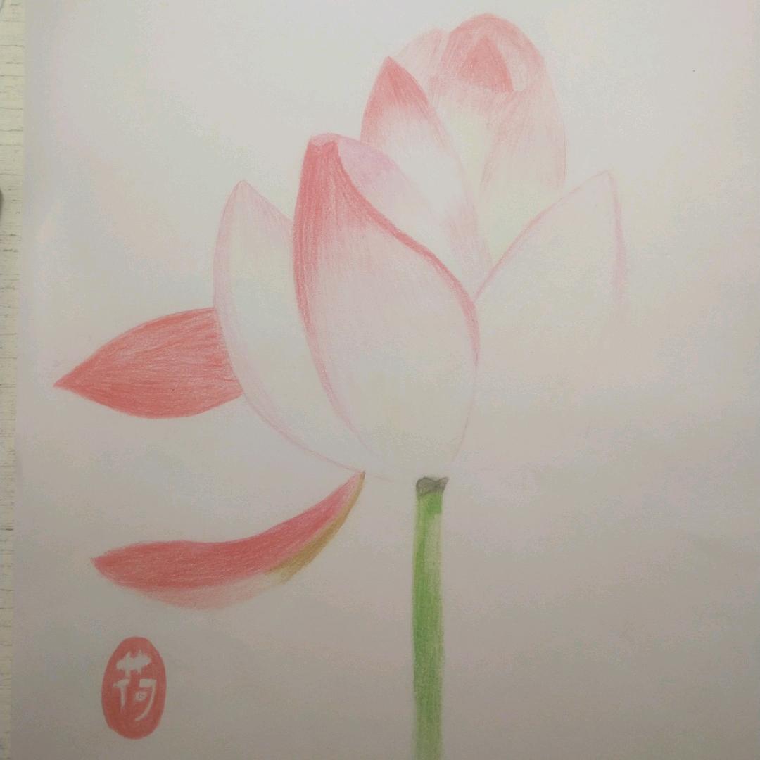 用户8393493036072suo