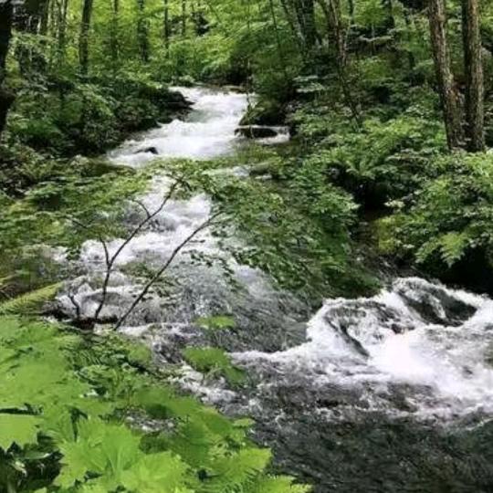 禹州市钧藏天下文化传播有限公司的小店典藏