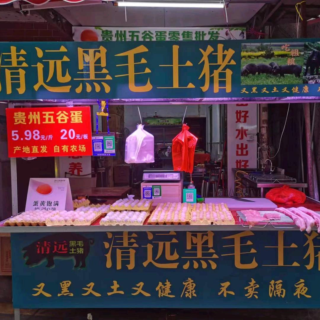 清远黑毛土猪