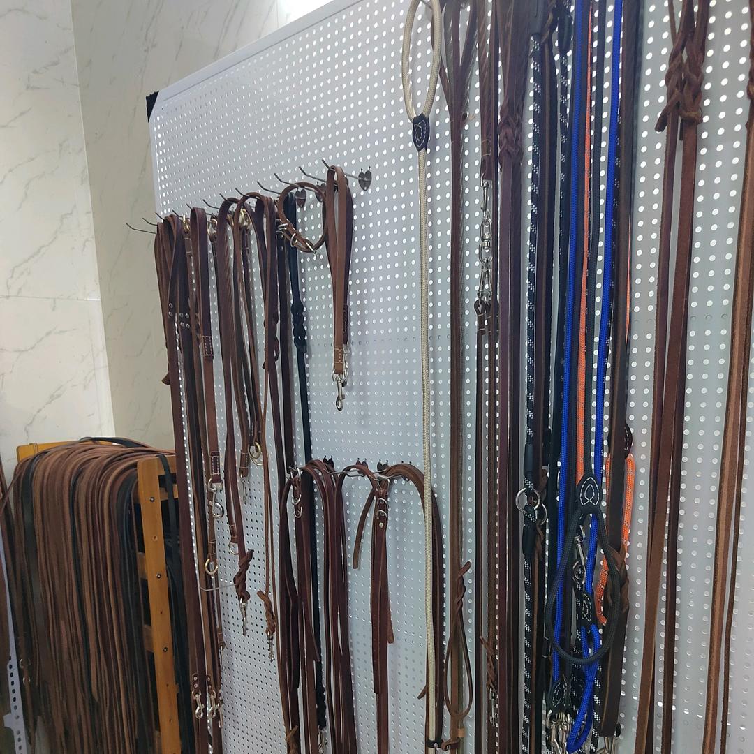 酷宠物用品店