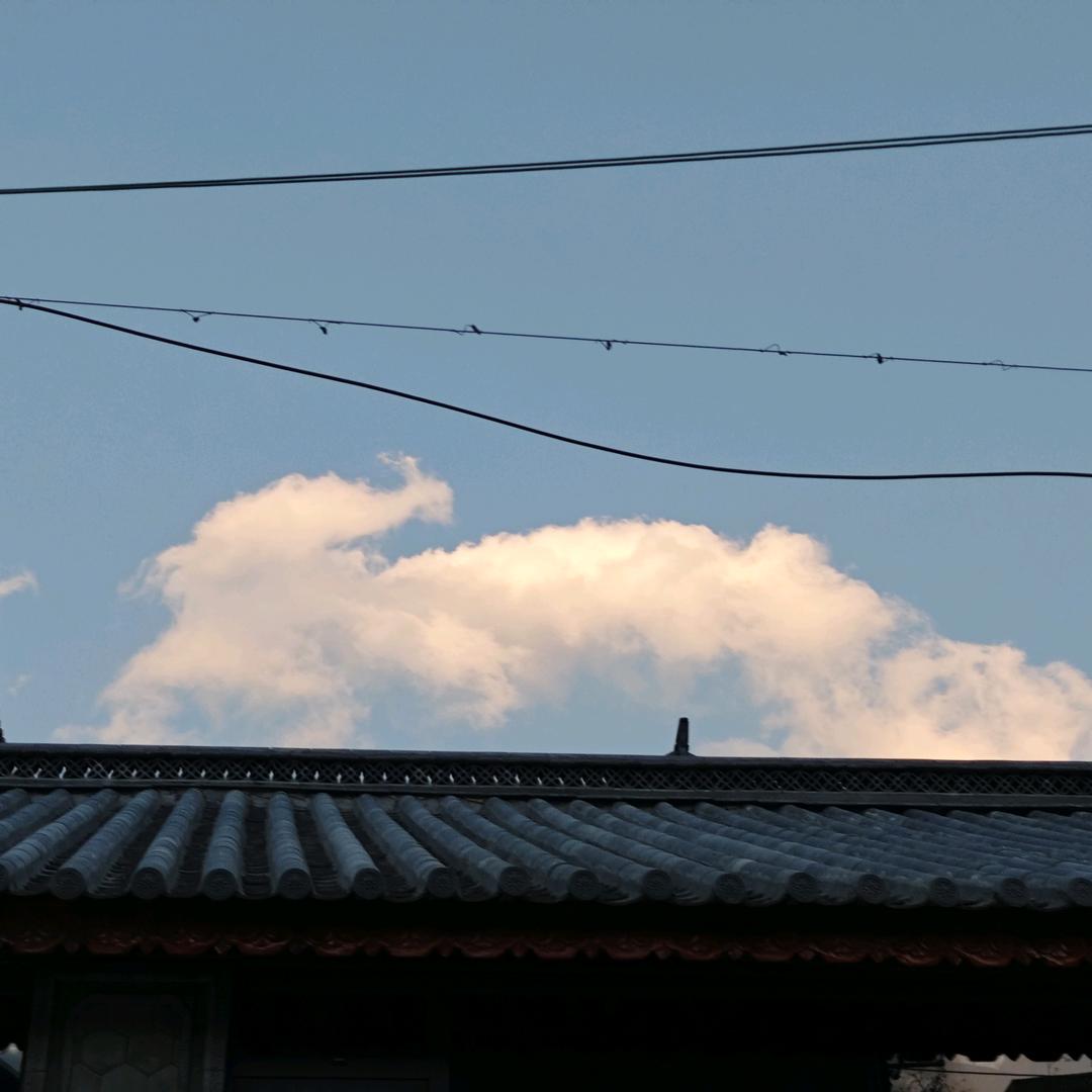 头克朗