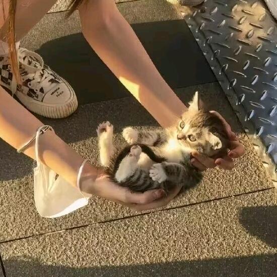 我恨早起