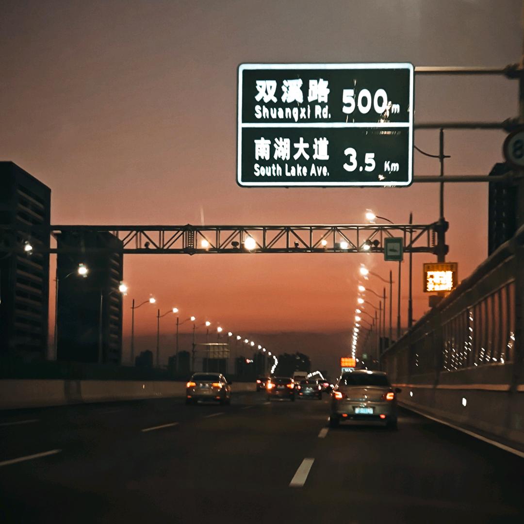 僵卧孤村不自哀