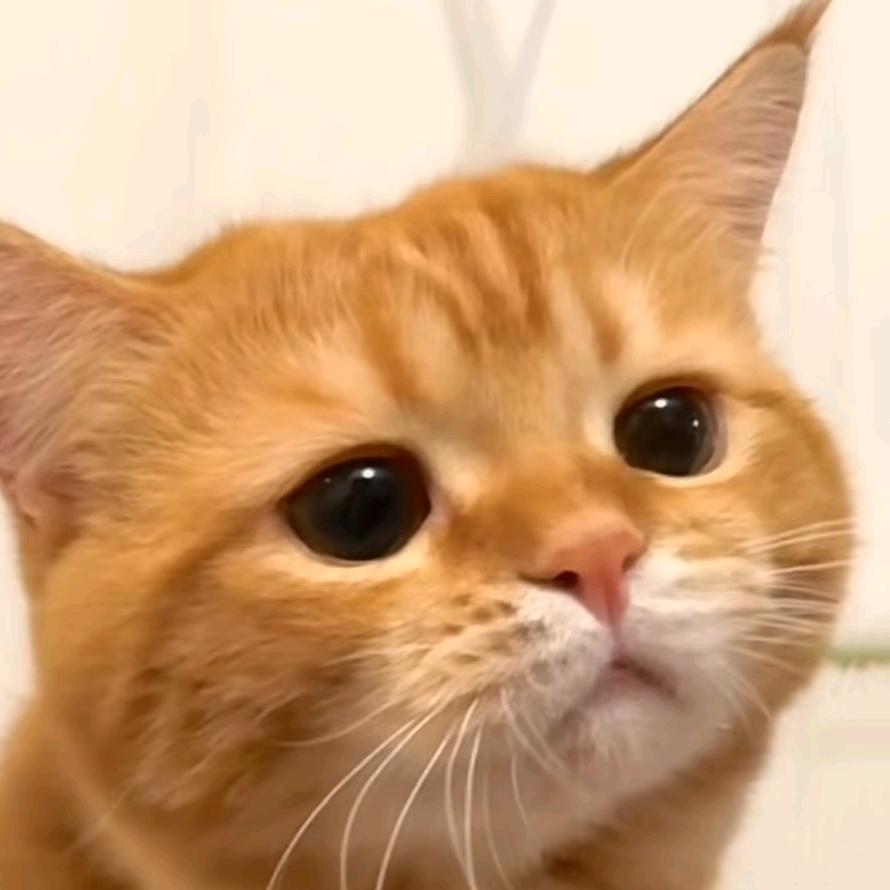 哒哒哒哒啊
