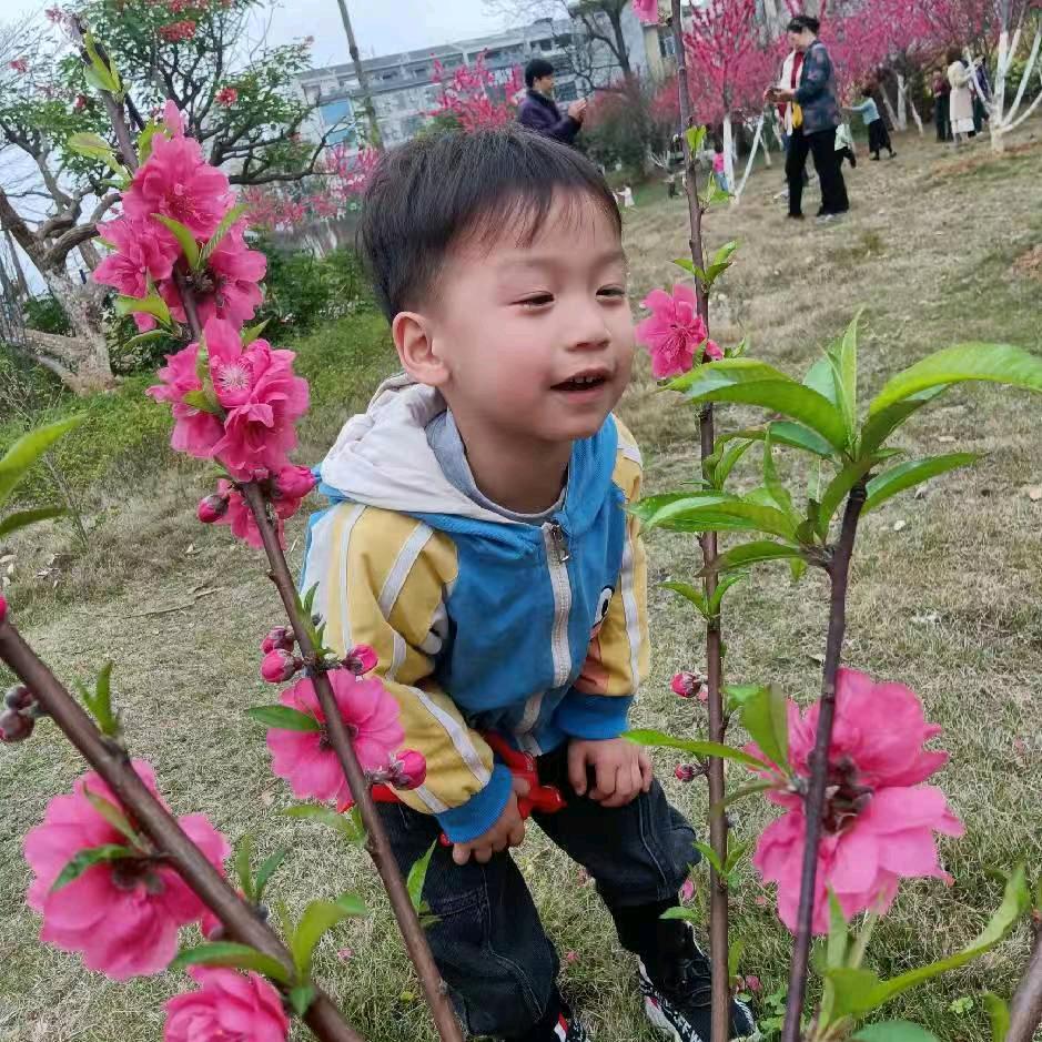 蓝海