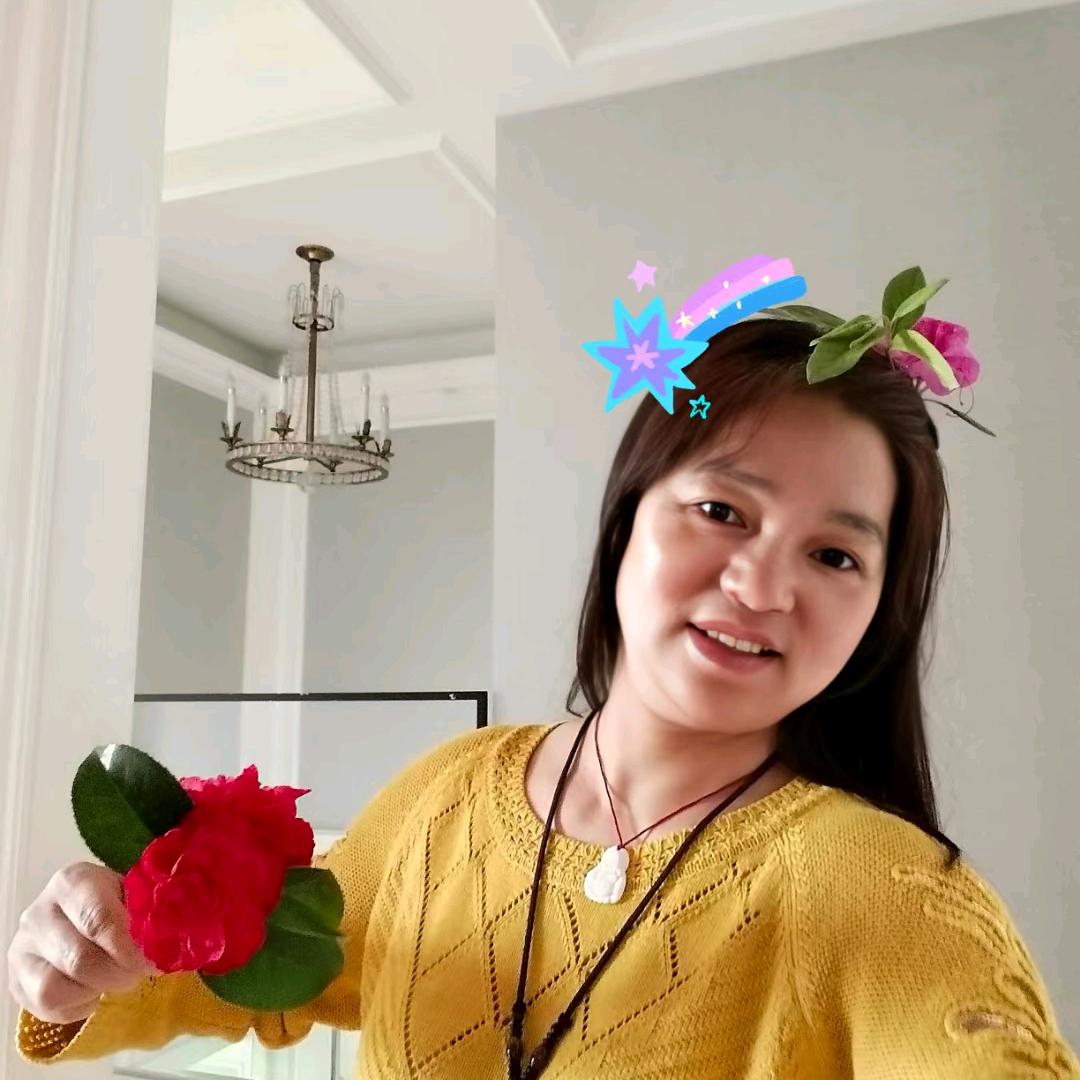 💥朝阳公主💥