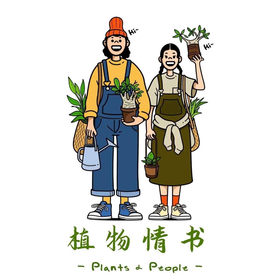 植物情书(花与爱)