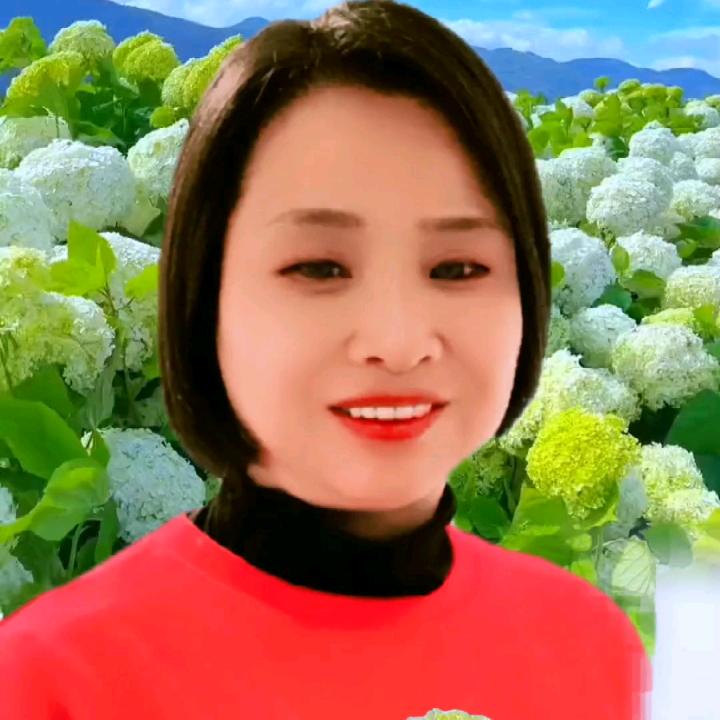 🤖🎃👵平安健康