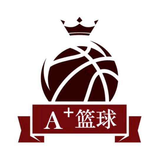 蚌埠A＋体育服务