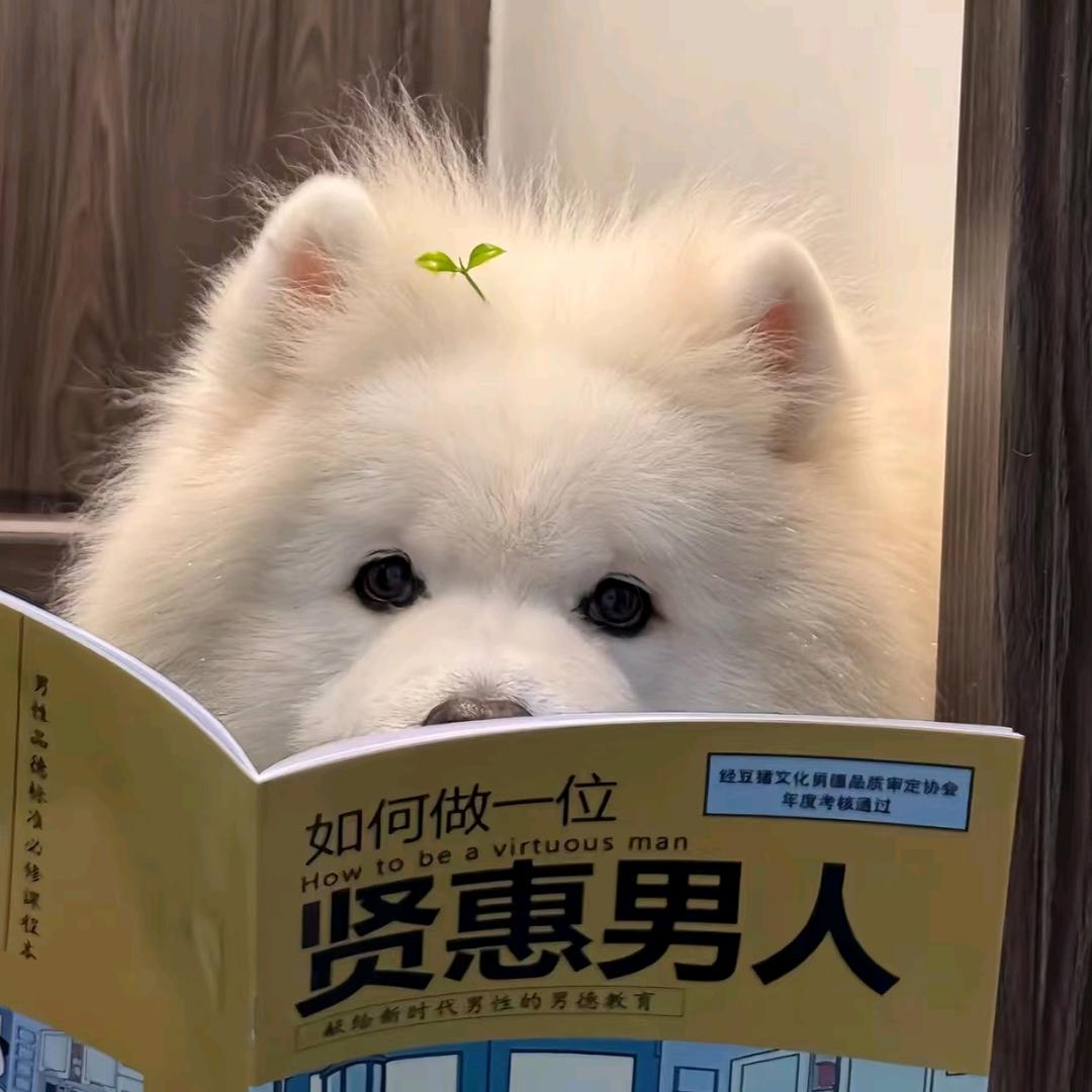 做饿梦了