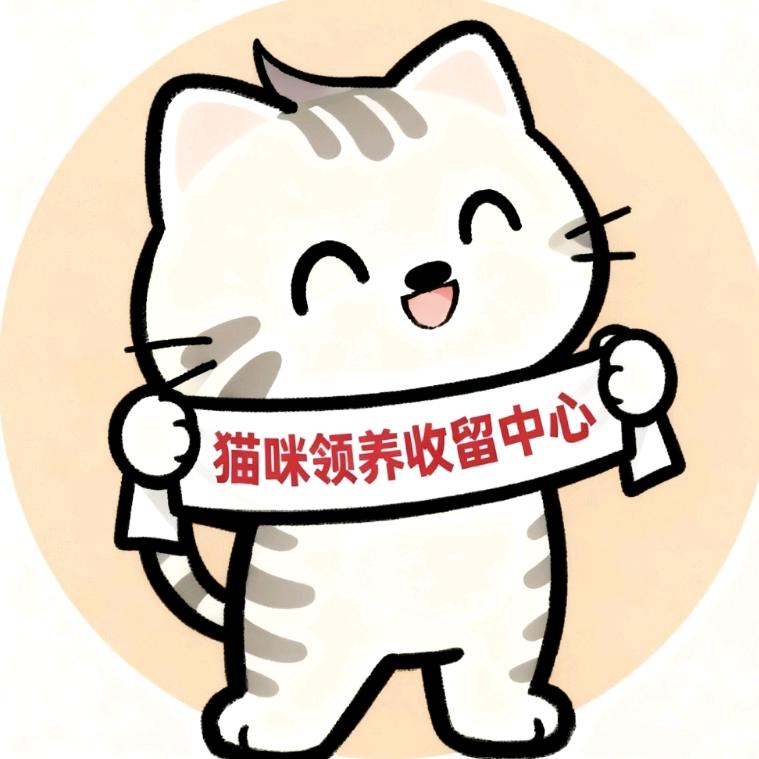 杭州猫咪领养收留中心