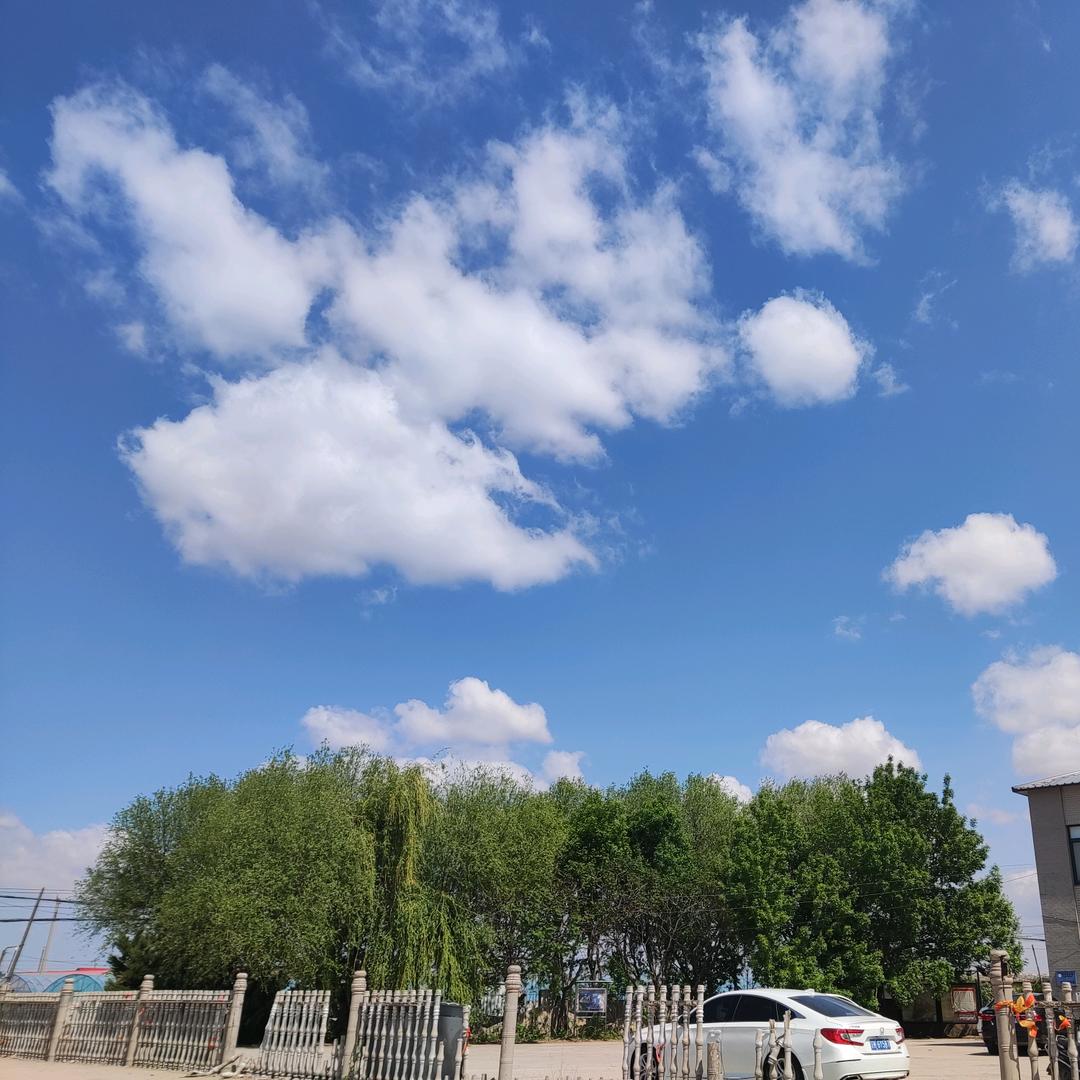 小针刀
