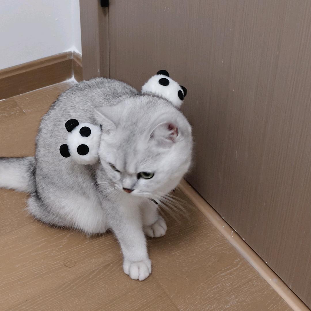 邪恶暖暖