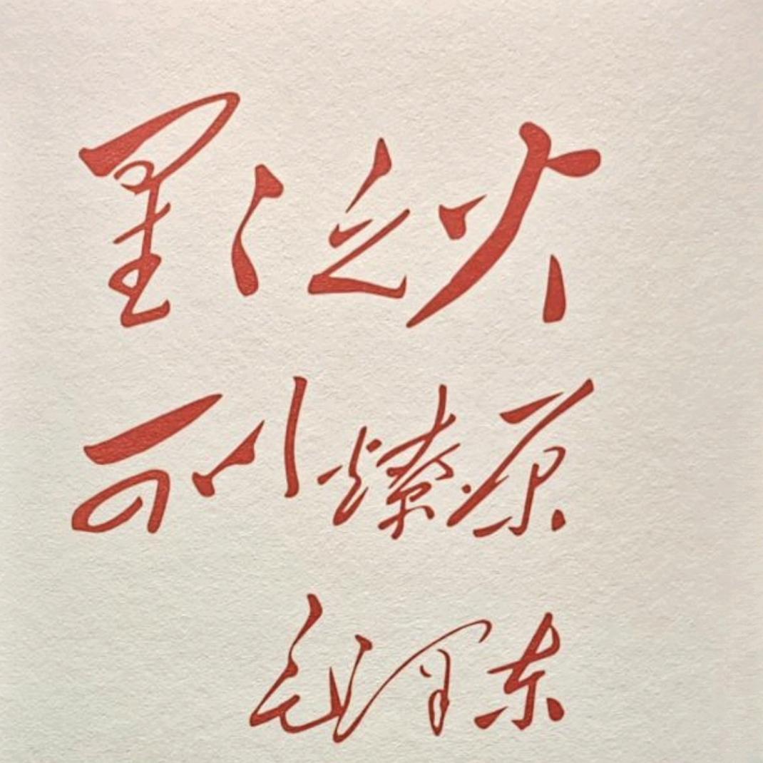 钢铁爱國者☭