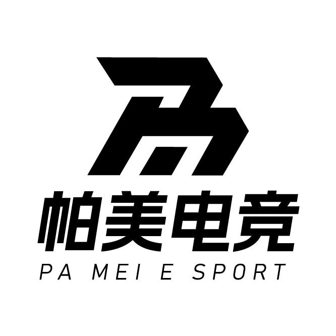 帕美电竞