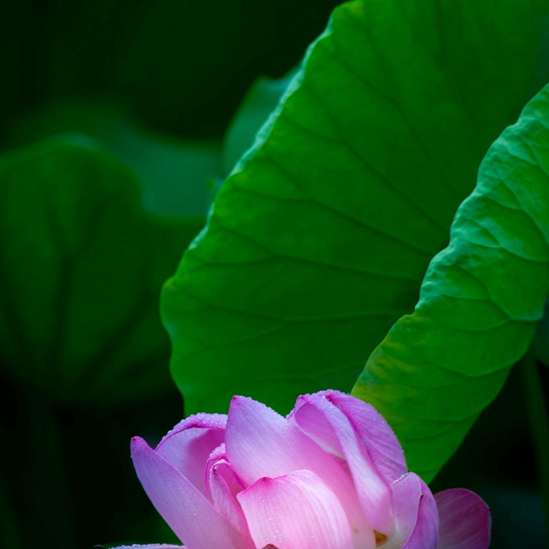 悦   己ᩣᵕ̈ ᐝ🌱