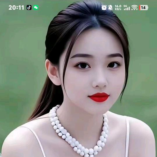 理想L8--龙哥哥