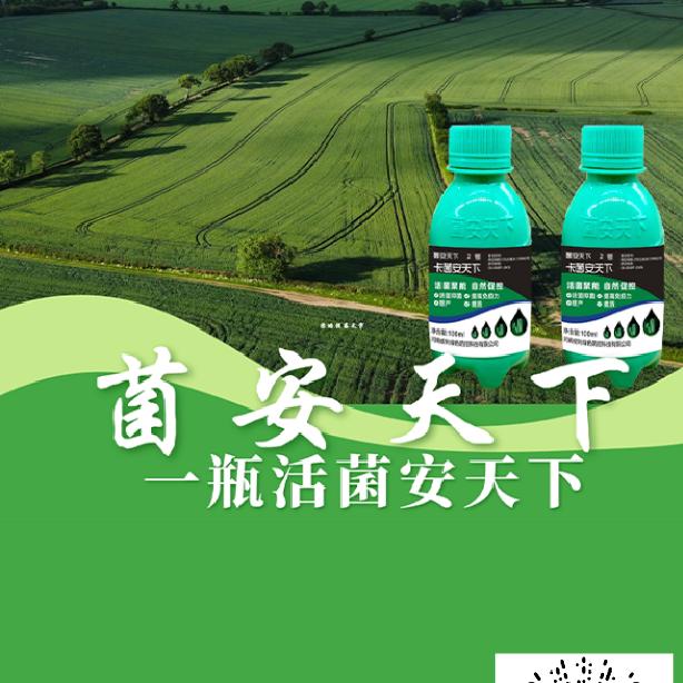 武宣春旭农业，菌安天R下经销商欢迎购买