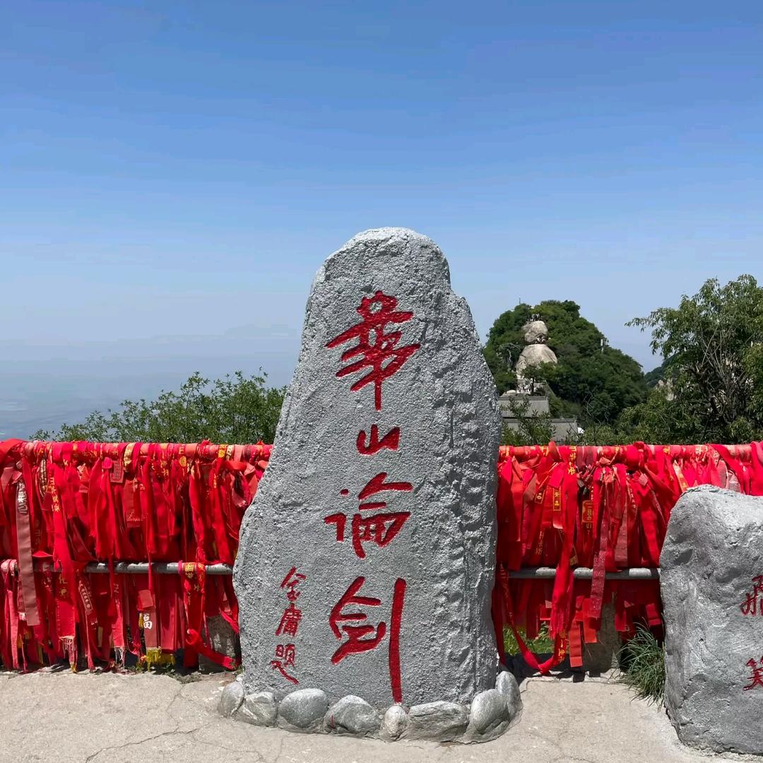 白茶清欢