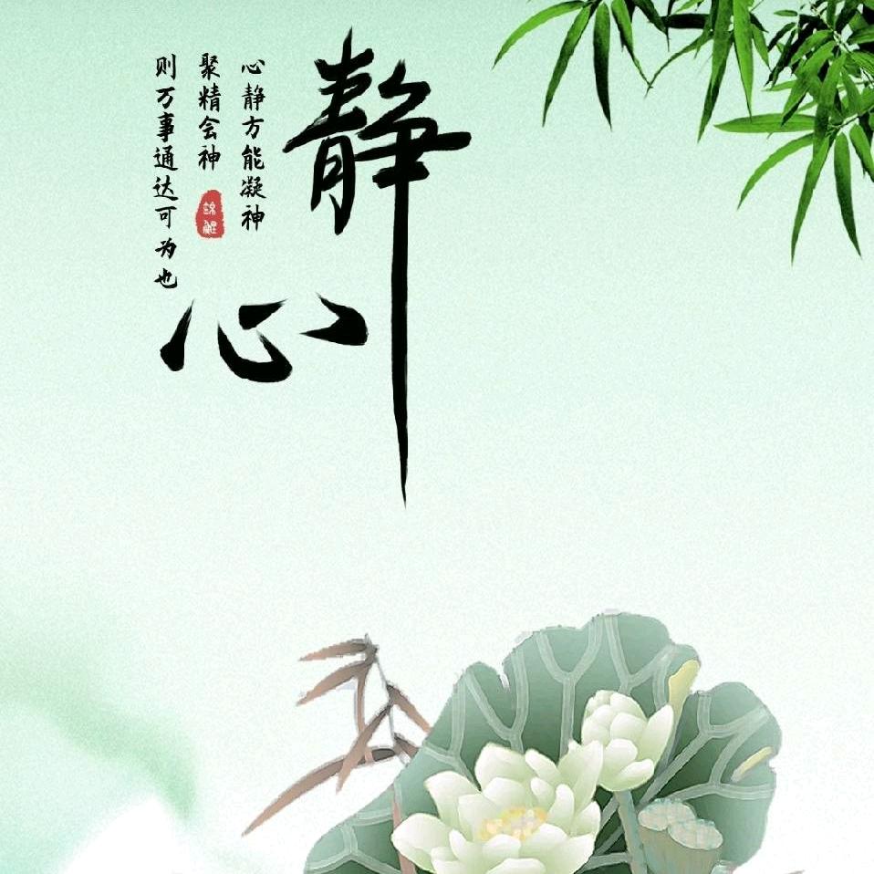✨XueLi✨（勿连赞）
