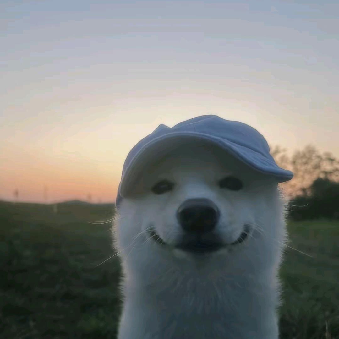 AAA肯德基疯狂星期四代吃