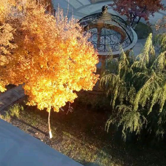 大米粒，好物分享