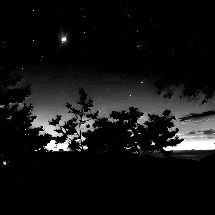 愿风指引你的道路