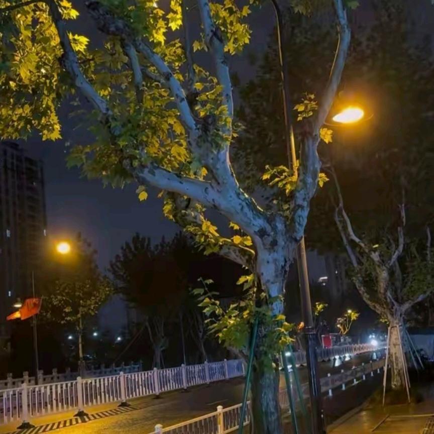 普通人普通生活普通过