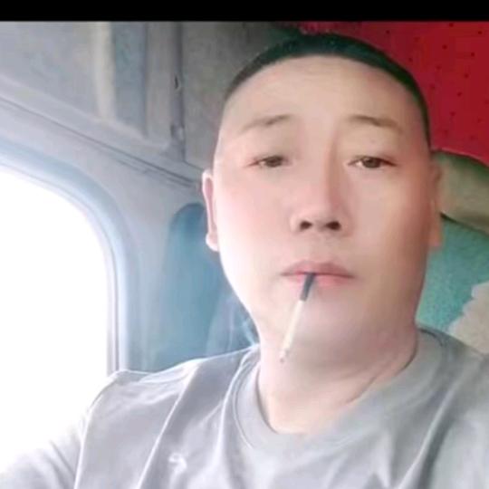 游子归安