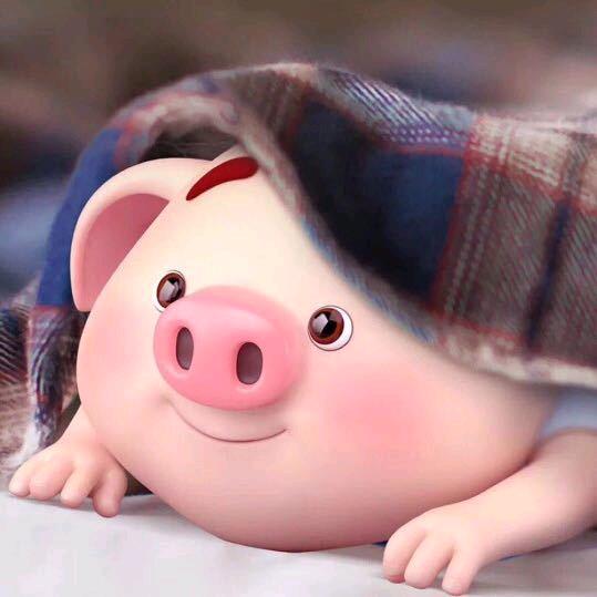 💞ღ᭄ꦿ꯭余生随心ঞꦿ᭄