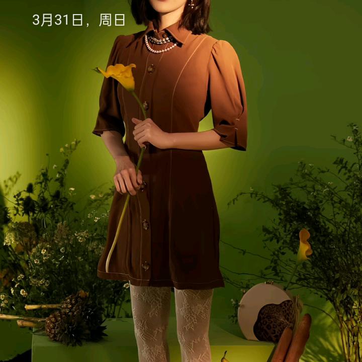 作茧自缚