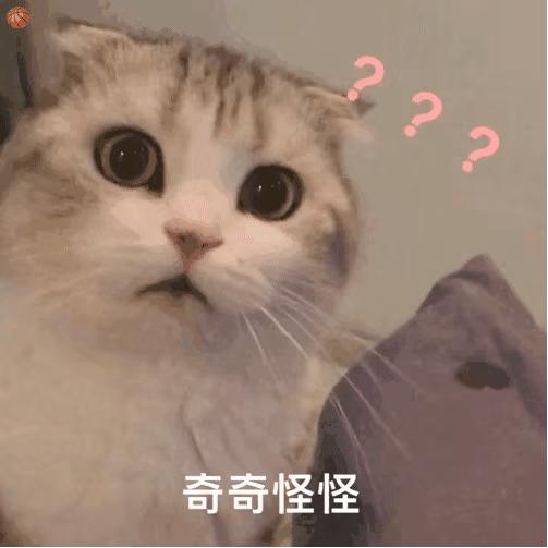 。。。。。。