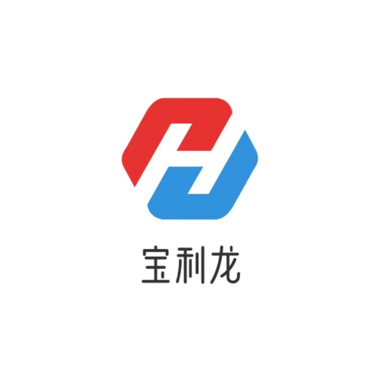 上海宝利龙人力服务