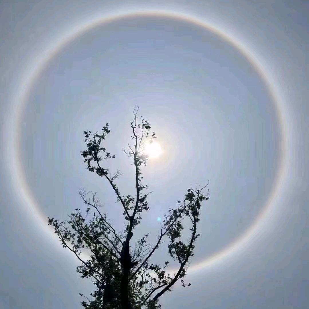 哥糊塗