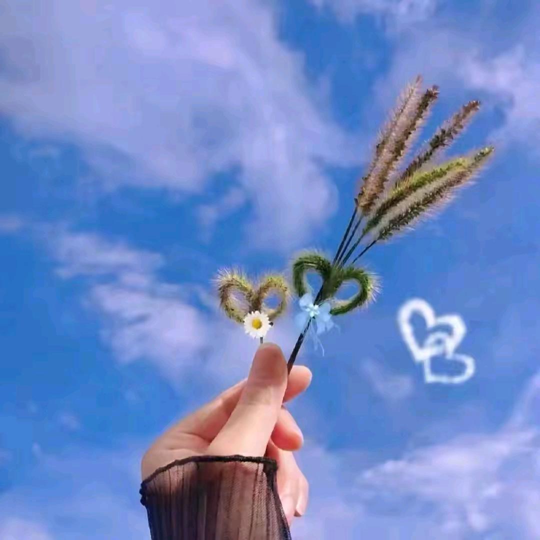 ღ᭄ꦿৡ 随心所欲ℒℴѵℯღ᭄