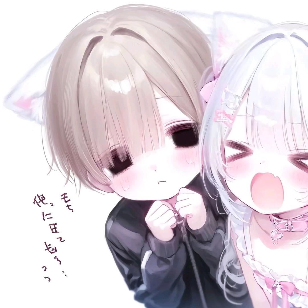 慧慧控