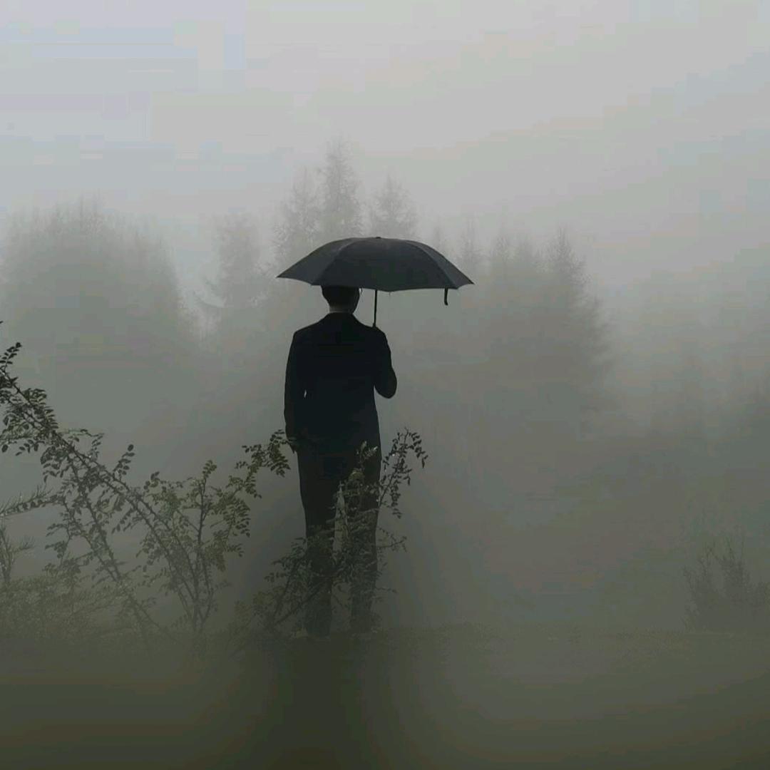 墨韵流年