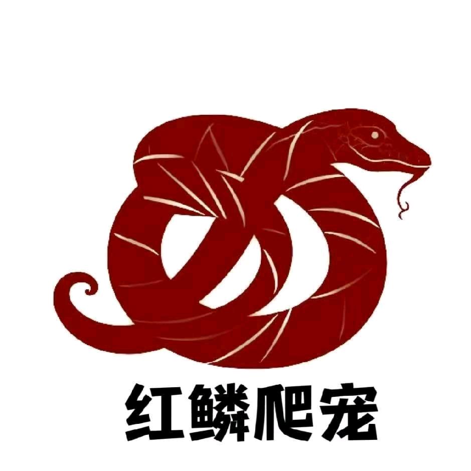 22060137717